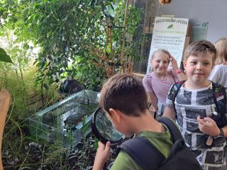 20240611_115149_resized